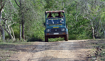 Bandipur Tour Packages 