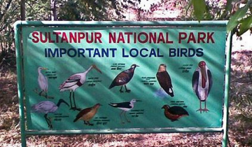 Birding In Sultanpur