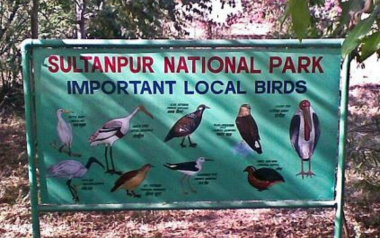 sultanpur_national_park